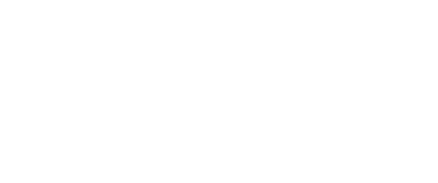 Efficienza